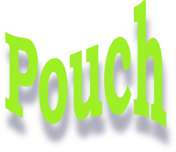 Pouch