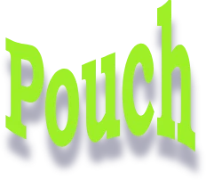 Pouch